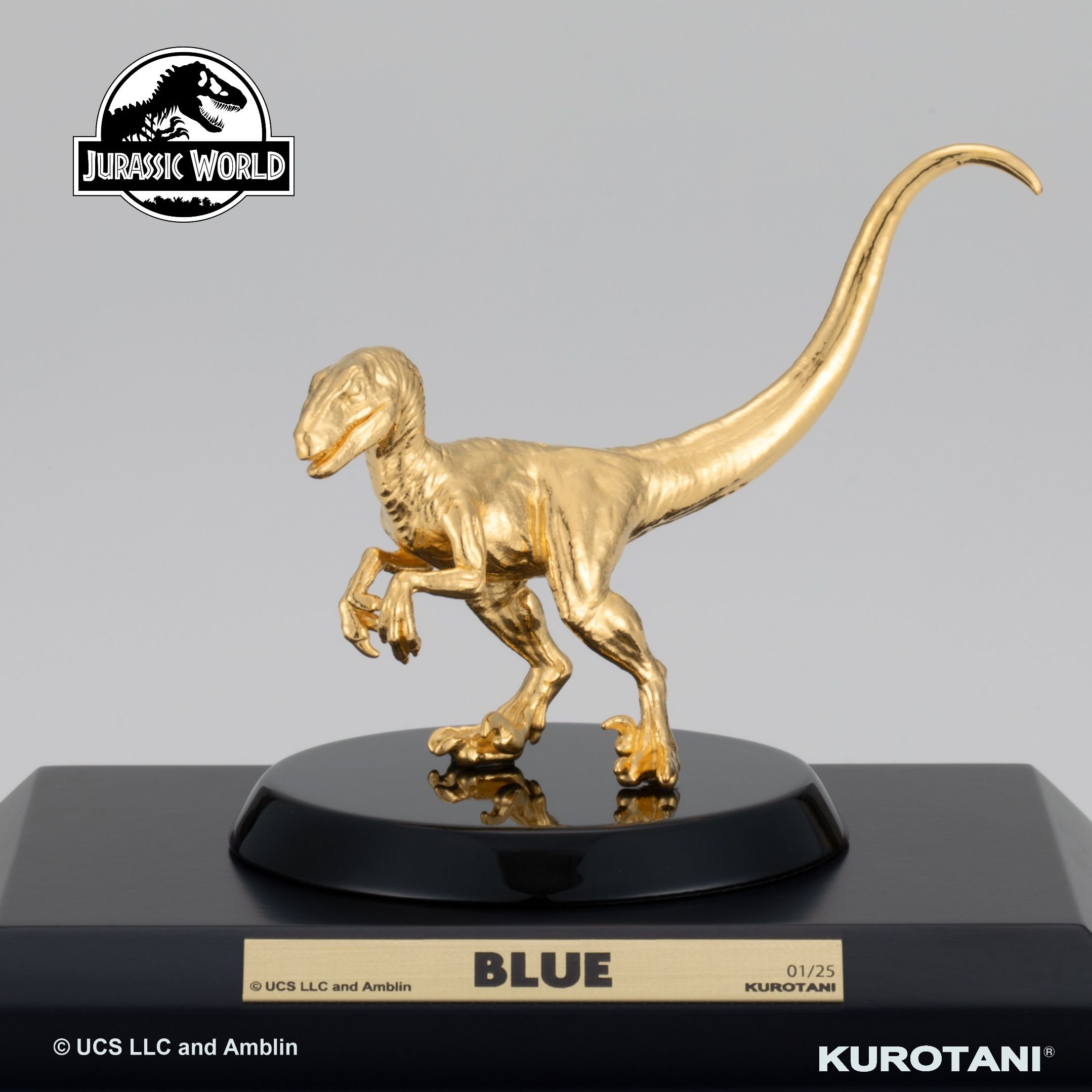 純金 BLUE(Medium)【限定25点】