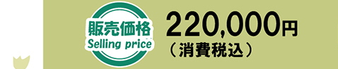 販売価格 220,000円（送料別／消費税込）